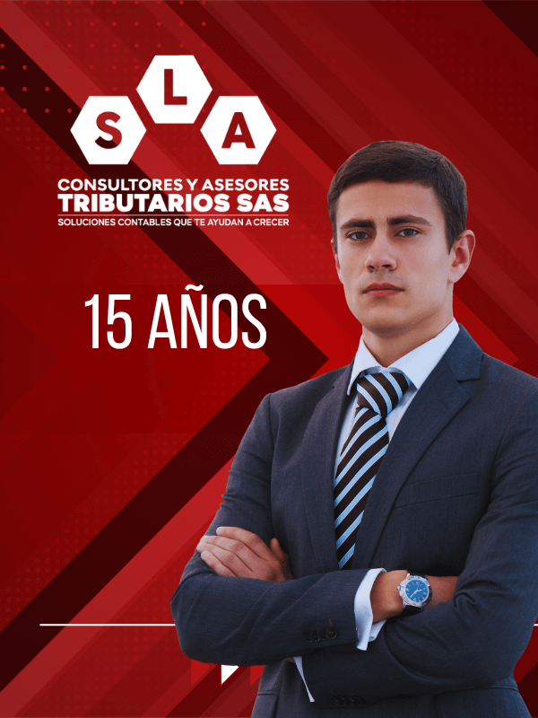 Contador Público