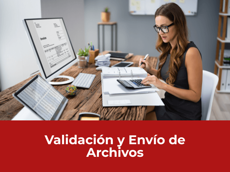 Elaboración y Presentación de Medios Magnéticos en Bogotá (3)