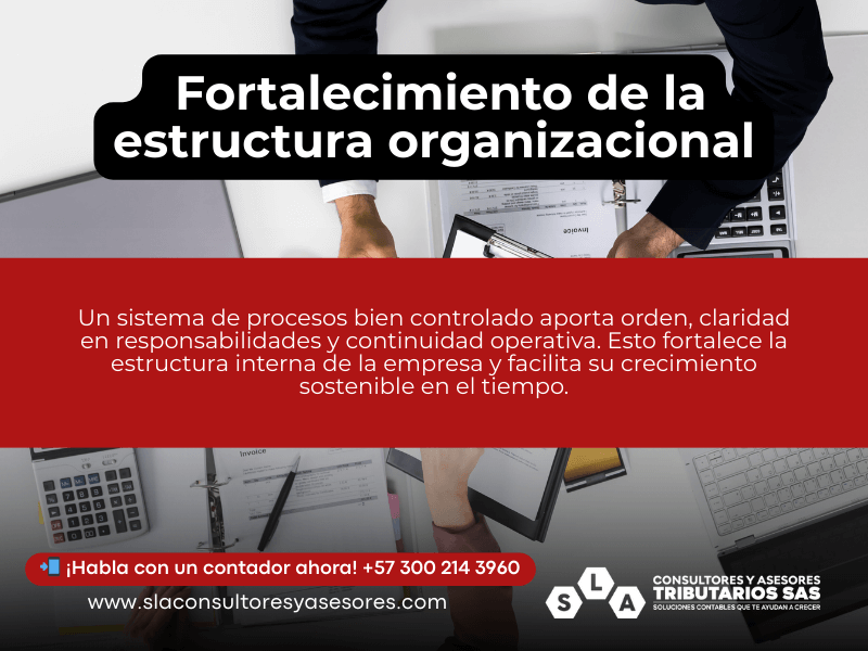 Fortalecimiento de la estructura organizacional Control de los Procesos en Bogotá